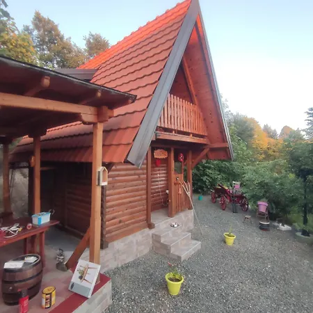 Seoski Turizam Feniks Davidovi Psalmi