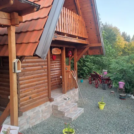 Seoski Turizam Feniks Davidovi Psalmi * Kosjeric