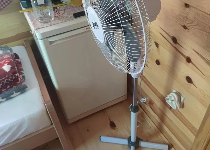 Seoski Turizam Feniks Davidovi Psalmi Kosjerić