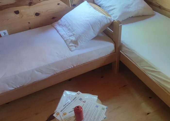 Seoski Turizam Feniks Davidovi Psalmi