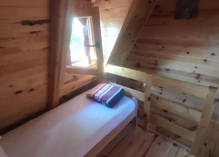 Seoski Turizam Feniks Davidovi Psalmi *