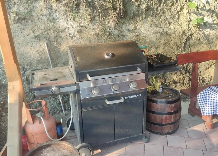 Seoski Turizam Feniks Davidovi Psalmi アパート Kosjerić