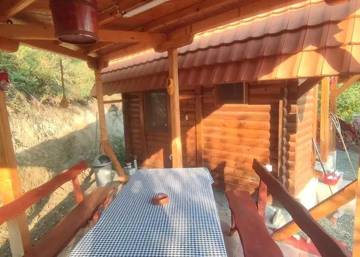 Seoski Turizam Feniks Davidovi Psalmi アパート Kosjerić