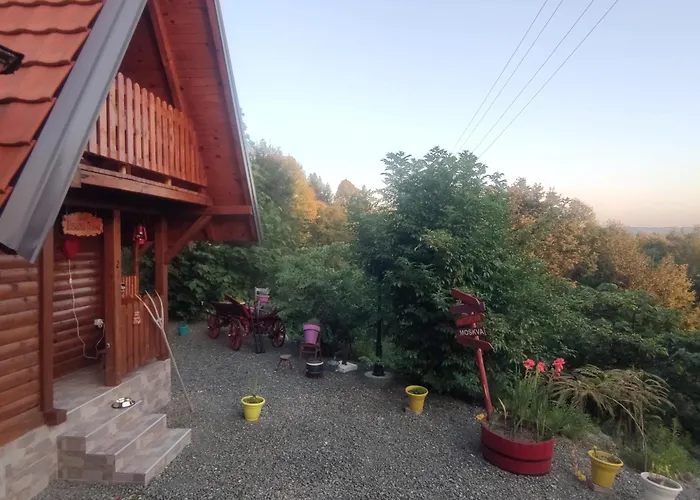 Seoski Turizam Feniks Davidovi Psalmi Kosjerić