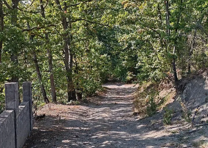 Seoski Turizam Feniks Davidovi Psalmi アパート