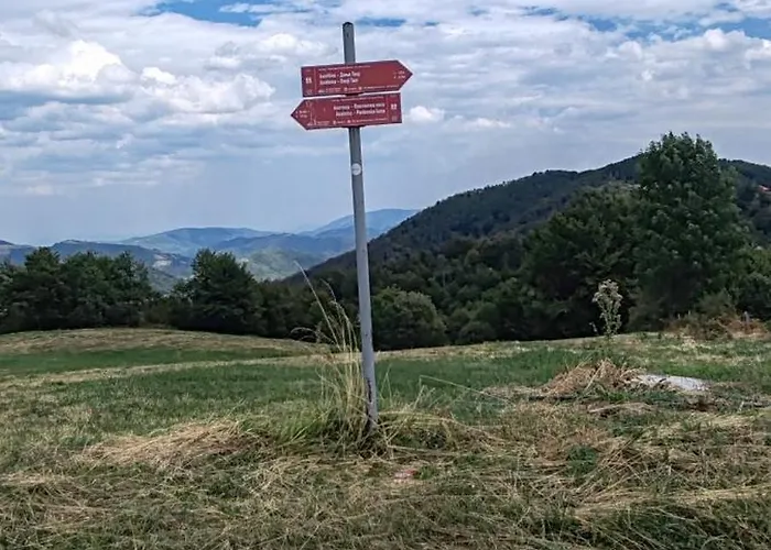 Seoski Turizam Feniks Davidovi Psalmi Kosjerić