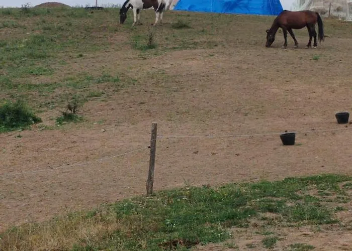 Seoski Turizam Feniks Davidovi Psalmi アパート *